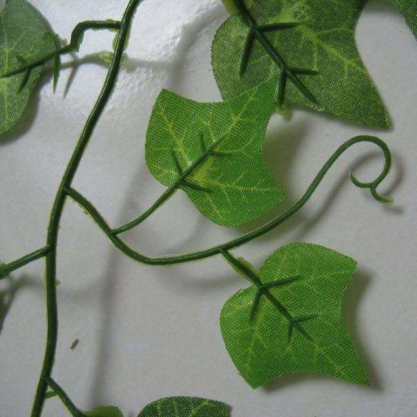 Ivy Green Leaf