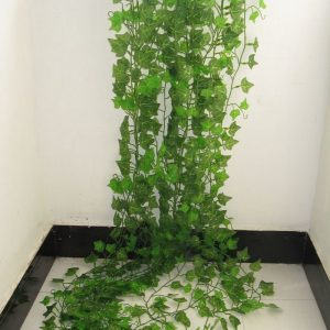 Ivy Green Leaf