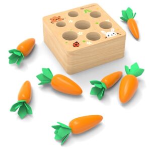 Vegetable Natural Foods Toy Block