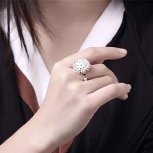 Silver Monochrome Photography Ring