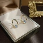 Korean Zirconia Earrings Chic Jewelry