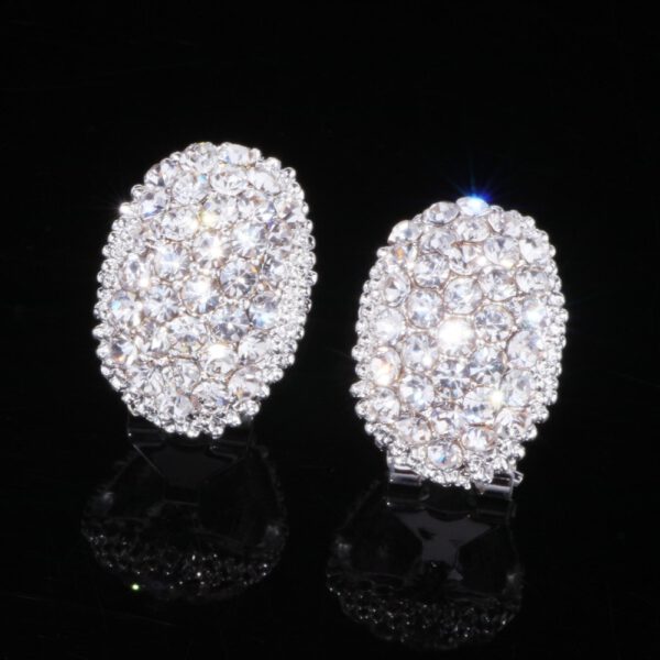 Classic Design Romantic Stone Earrings